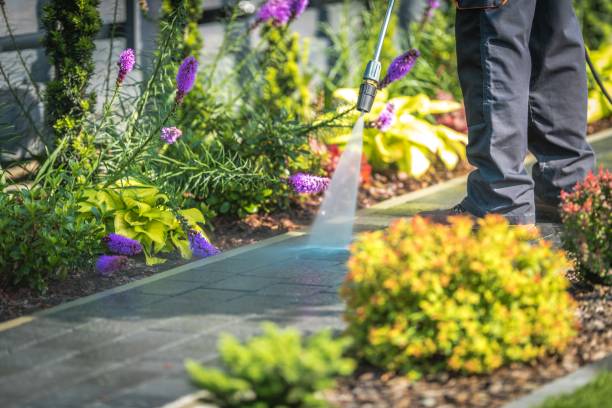 Best Pool Deck Cleaning  in Dacula, GA